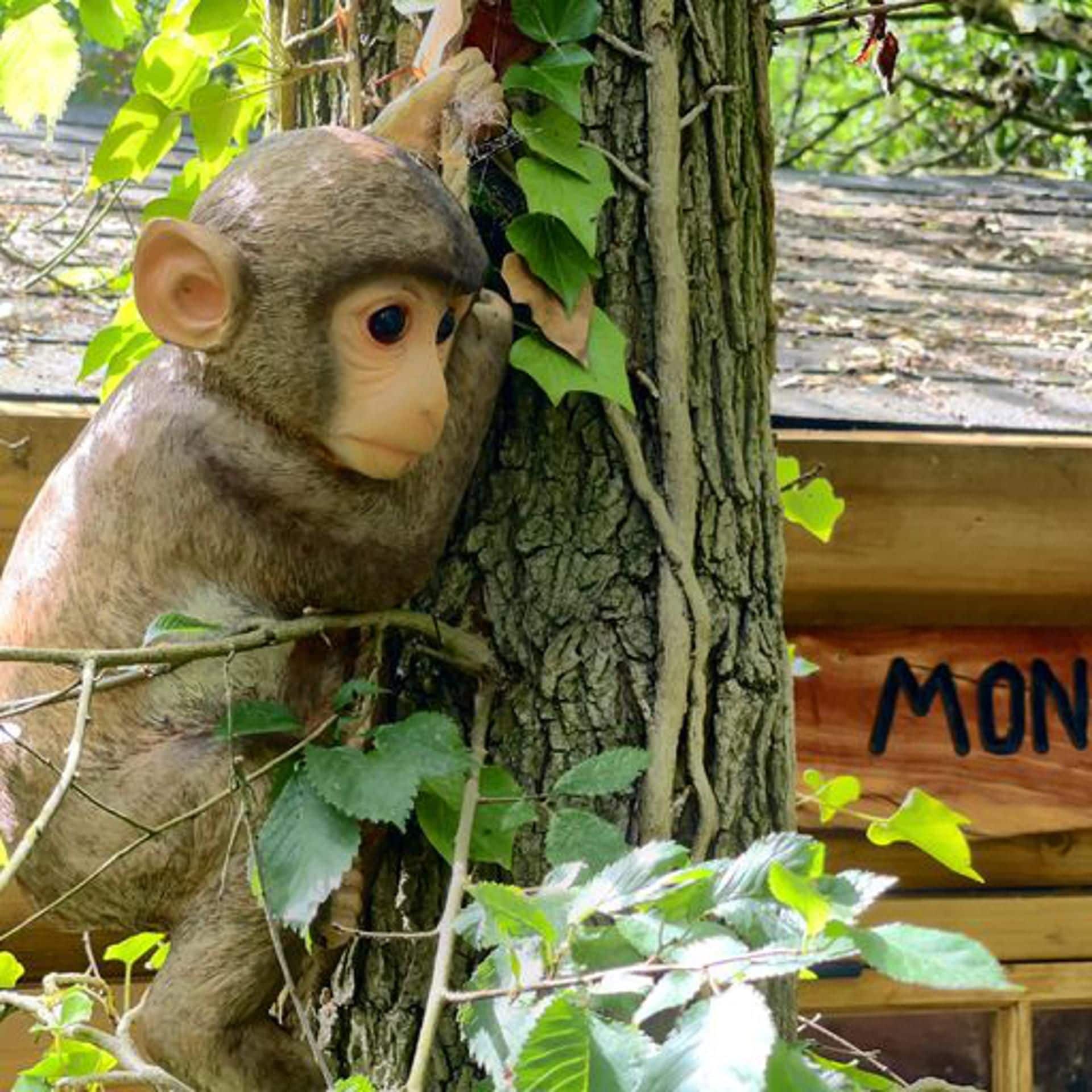 Um macaco escalando uma árvore.