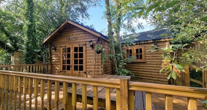 Beautiful 1-bed Cabin in Newmarket