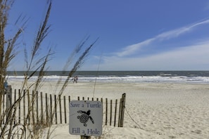 Una playa cerca
