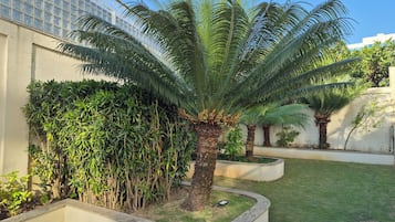 Jardim
