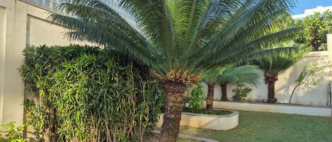 Jardim