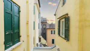 A narrow alleyway between buildings with a green door and shutters, a staircase, and a view of adjacent buildings.