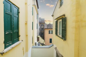 A narrow alleyway between buildings with a green door and shutters, a staircase, and a view of adjacent buildings.