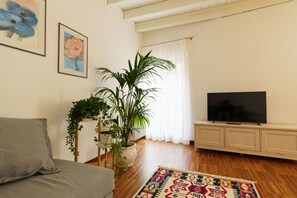 A living room with a sofa, a television on a cabinet, a potted plant, and a patterned rug. - Spacious and bright penthouse with 3 small balconies (Verona)