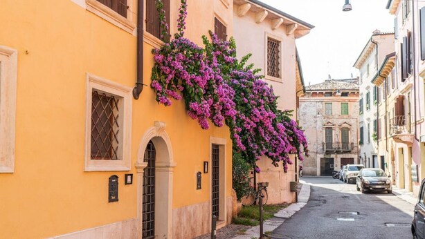 A narrow street with a yellow building featuring a large window and a door. - Merici residence, elegant and fairytale-like (Verona)