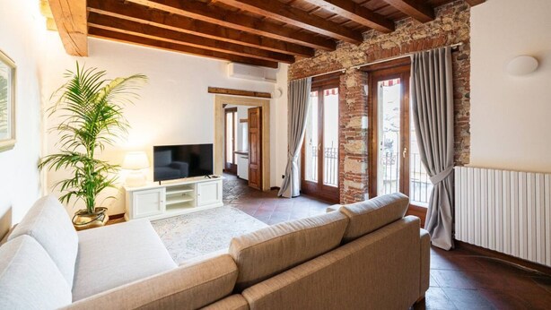 A living room with a sofa, TV, and a potted plant. - Merici residence, elegant and fairytale-like (Verona)