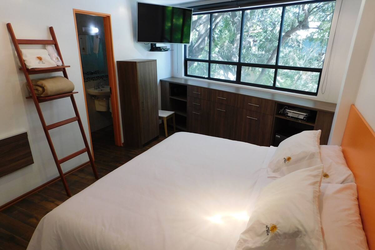 A bedroom with a bed, a wooden ladder, a wardrobe, a TV, and a window with a view of trees.