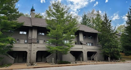 Ski-in, Ski-out Condo at Nub's Nob Ski Resort near Harbor Springs & Petoskey