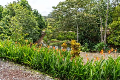 Selva Negra Loft: surrounded by mountains, rivers, lakes, and lush wildlife.