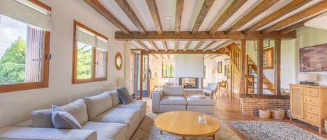 Televisión y chimenea