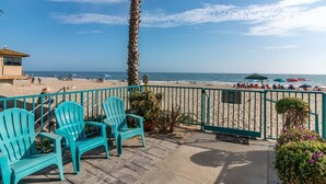 A beach view with chairs and a palm tree.
