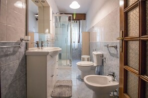 Shower, hair dryer, bidet, towels