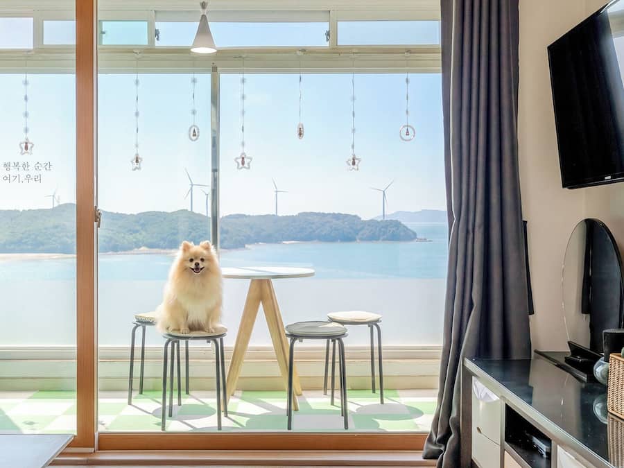 Basic Room, 1 Bedroom (Room 302) | 1 bedroom, free WiFi