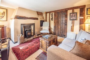 Televisión, chimenea y reproductor de DVD 