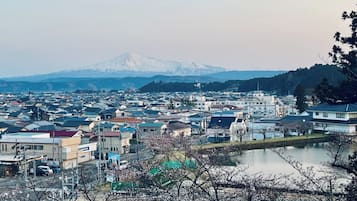 航空写真