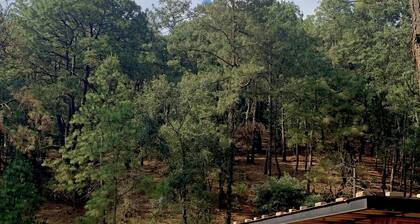 Espléndida Habitación Doble con Balcón en el Centro