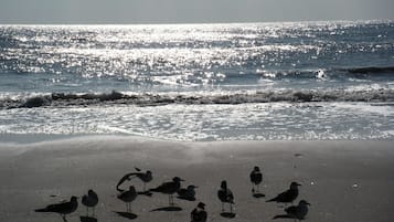 Una playa cerca