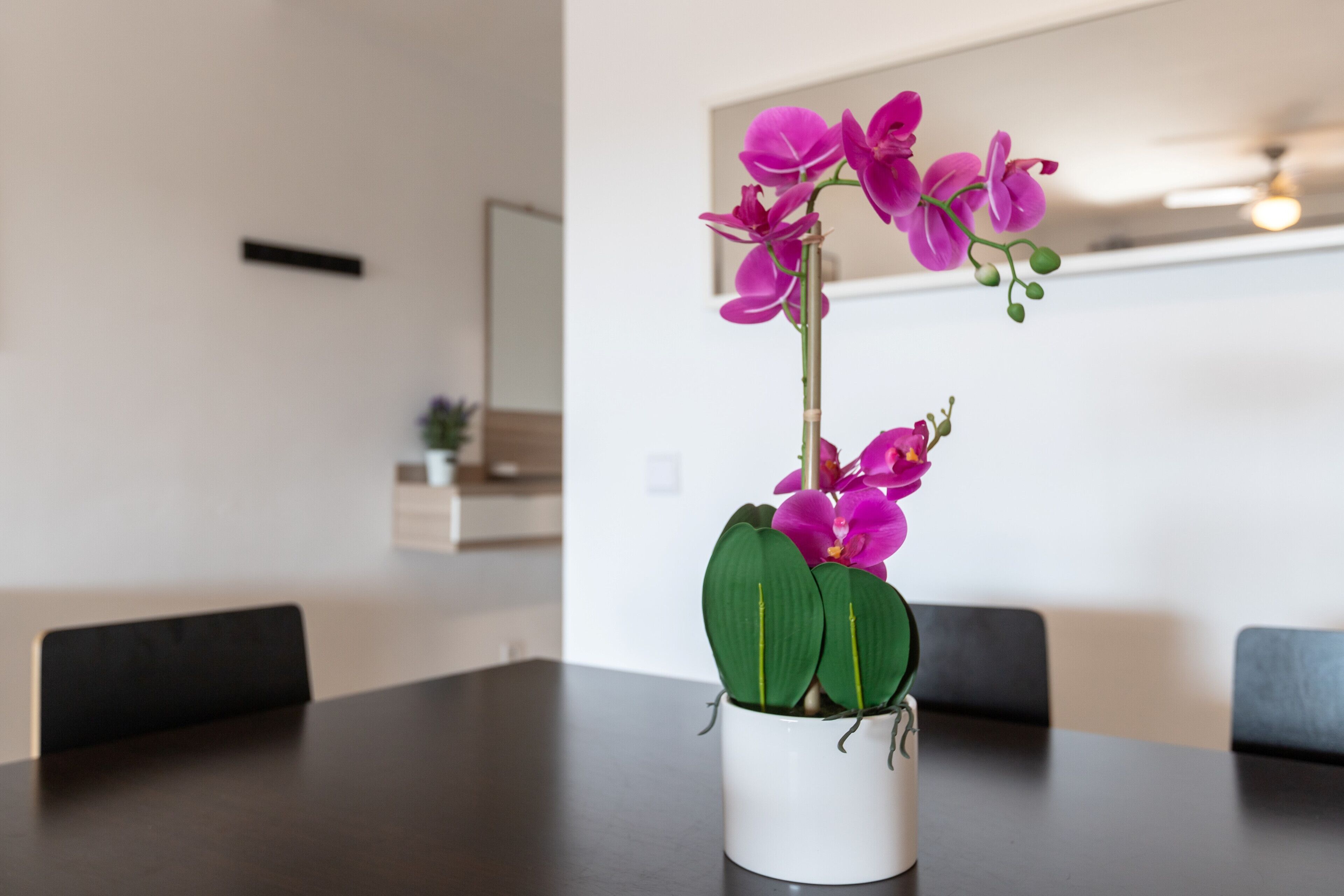 Une table à manger sur laquelle est posé un vase blanc contenant une plante orchidée violette.