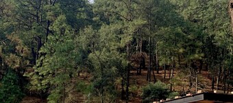 Precioso Cuarto Familiar con Balcón en el Centro