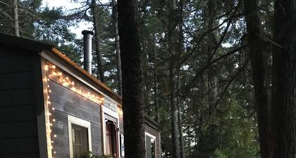 Historic , cozy 2 bedroom original cabin at the waters edge in Franklin ME