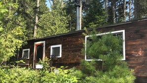 A wooden cabin with two windows, surrounded by dense greenery and trees. - Historic 1940s lakeside cabin on  spring-fed pond. Close to Acadia National Park (Franklin)
