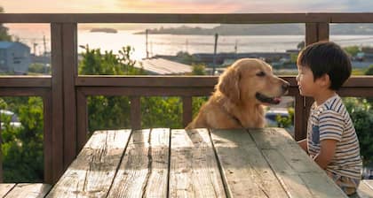 Yeosu Noeul Walk Pet Pension