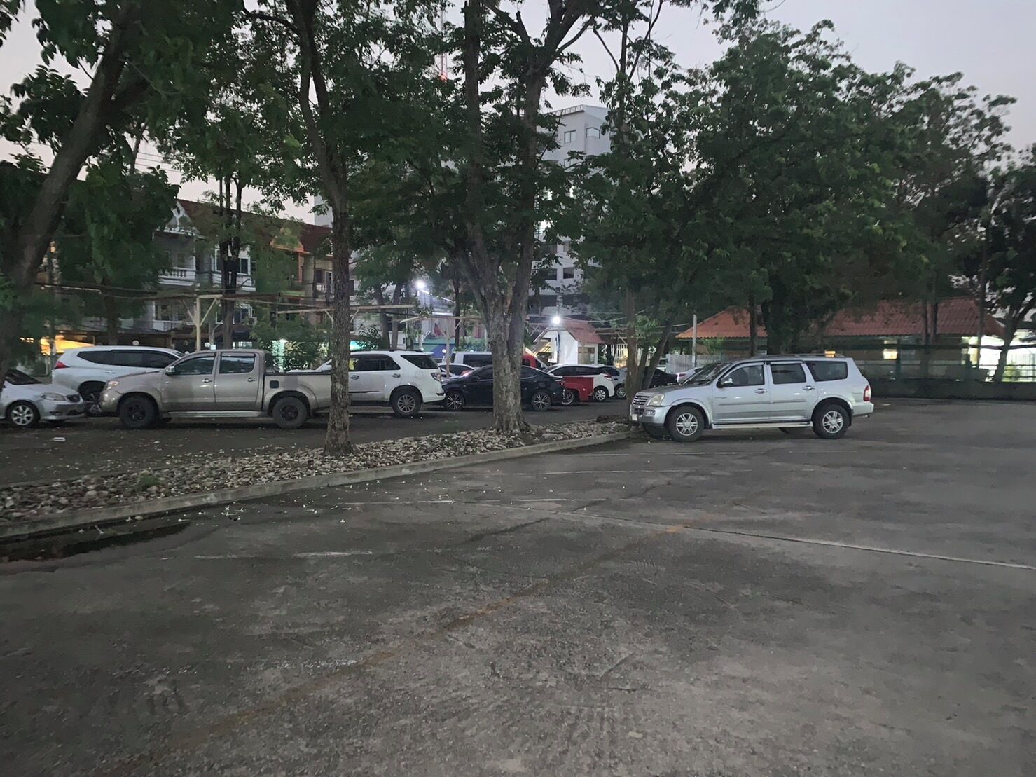 Un estacionamiento con varios coches aparcados bajo árboles.