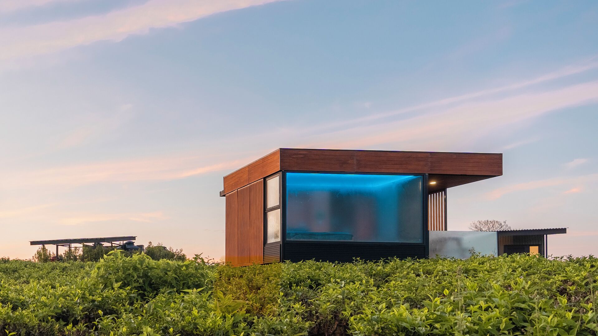 Un bâtiment moderne doté d’une grande façade en verre et d’un revêtement extérieur en bois, entouré d’une végétation luxuriante.
