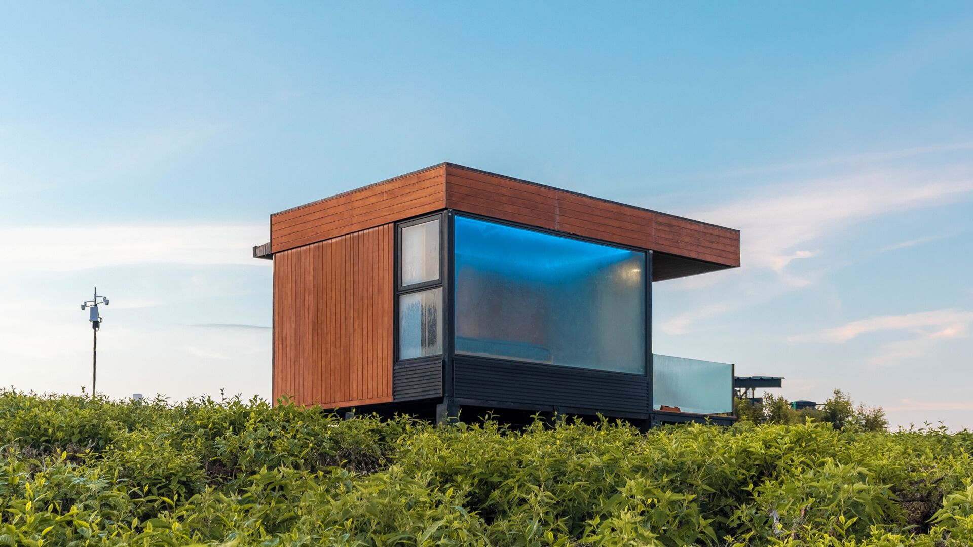 Un edificio moderno de una sola planta con amplios ventanales y paneles de madera, rodeado de abundante vegetación.