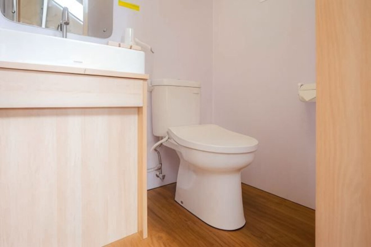 Een kleine badkamer met toilet, wastafel en spiegel.