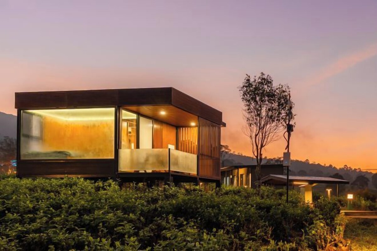 Grand Cabin