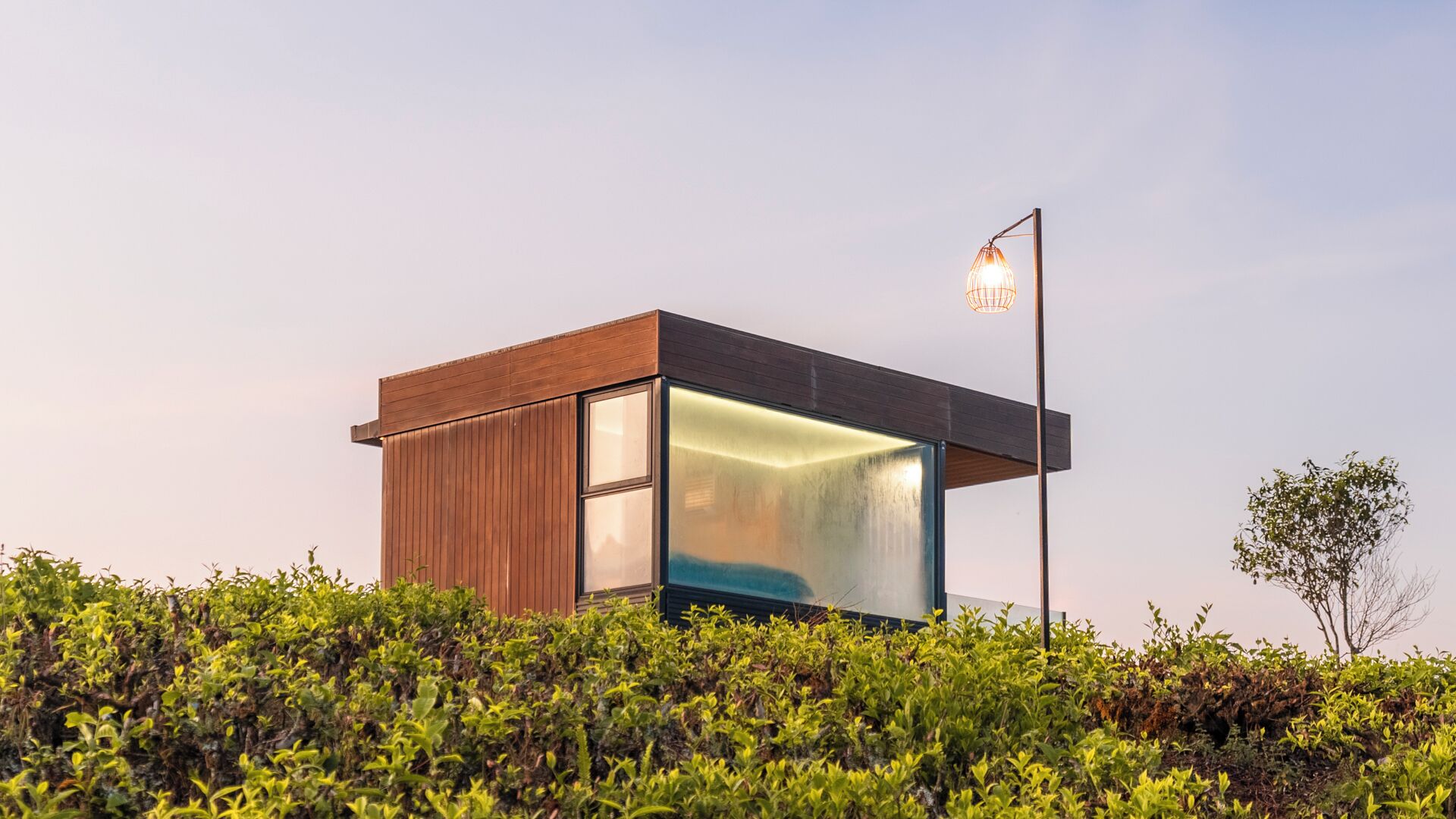 Un edificio moderno y minimalista con un gran ventanal y paredes exteriores de madera, rodeado de abundante vegetación.