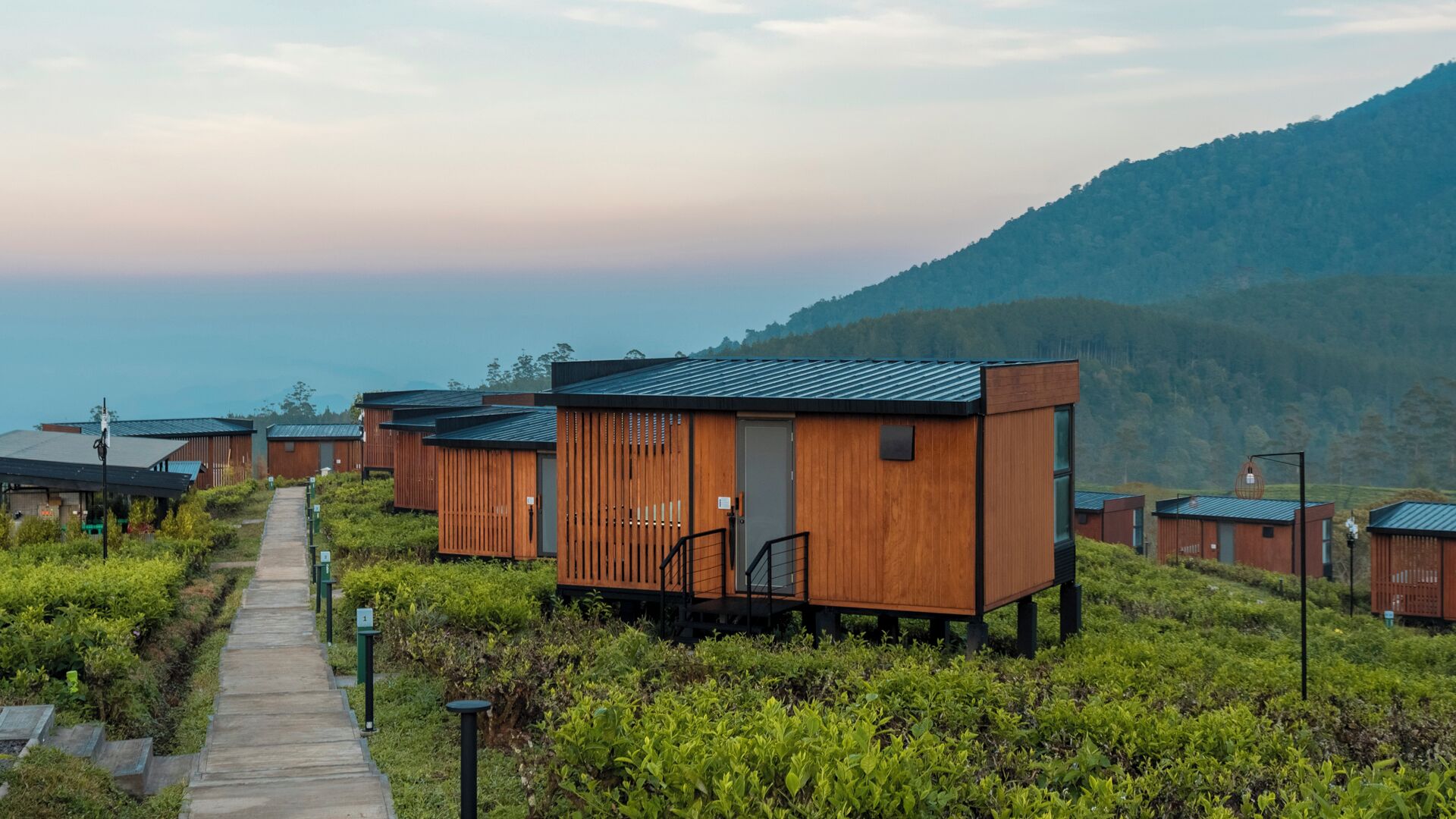 A row of wooden cabins with a pathway leading to them, set in a lush green area with a mountain in the background.