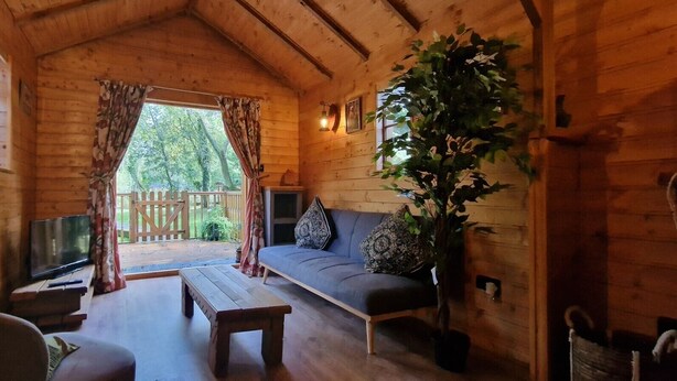 Interior acogedor de una cabaña de madera con un sofá, un banco, un televisor y una planta grande.