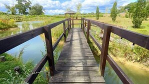 Un puente de madera que conduce a un mirador sobre un río tranquilo, rodeado de follaje y árboles.