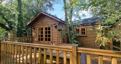 Beautiful 1-Bed Cabin in Newmarket
