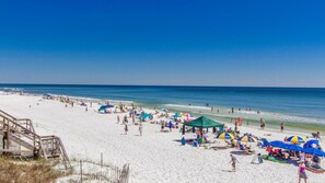 Beach - Monkey Business (Santa Rosa Beach)