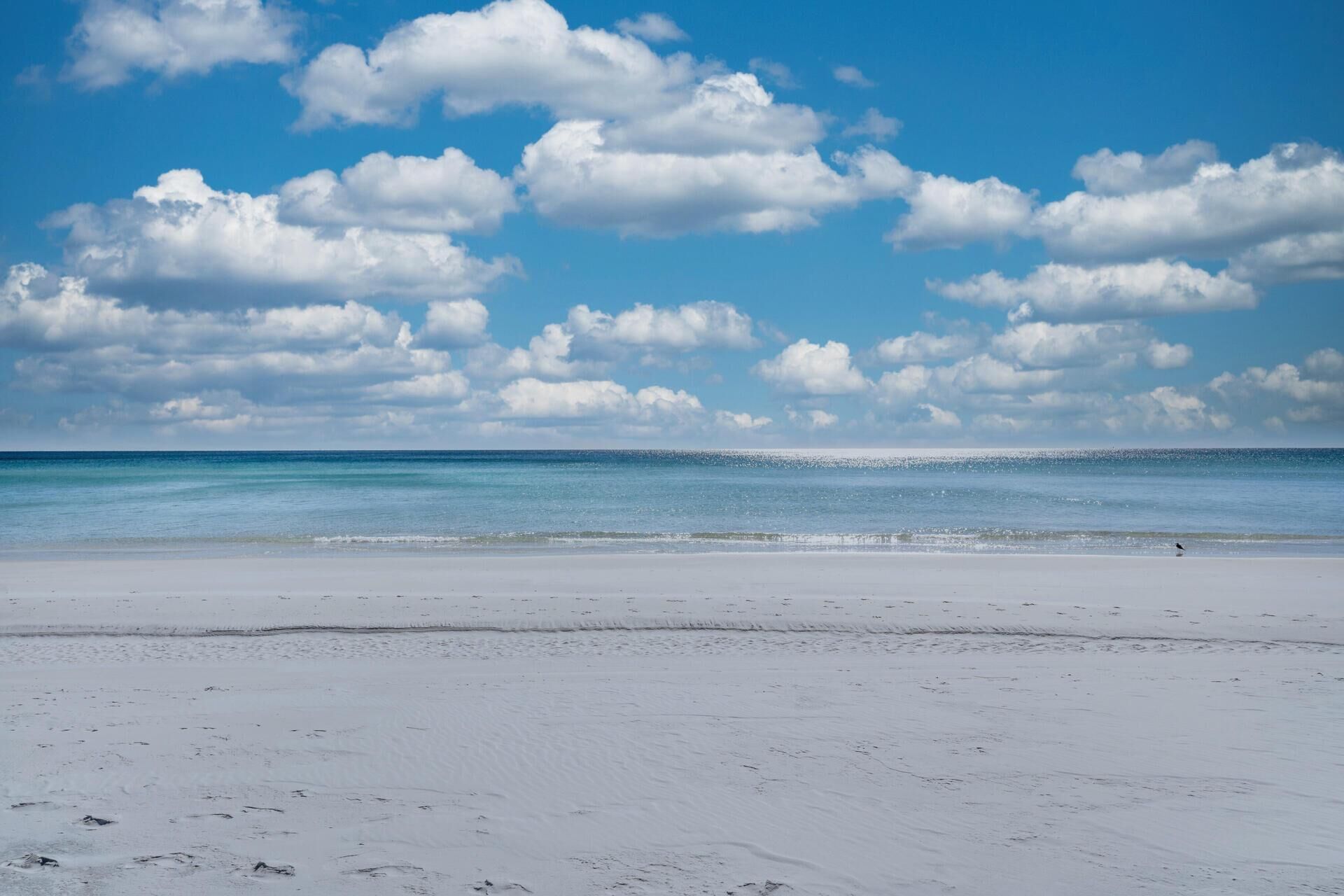 Condo, Multiple Beds (Harbor Landing 701B) | Beach