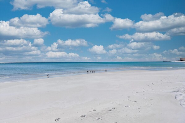Appartamento, letti multipli, vista canale (Salty Tide) | Spiaggia | Una spiaggia nelle vicinanze, sabbia bianca