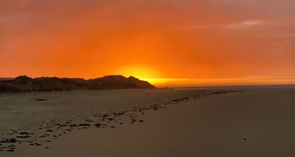 Peaceful beachside studio. Pet friendly