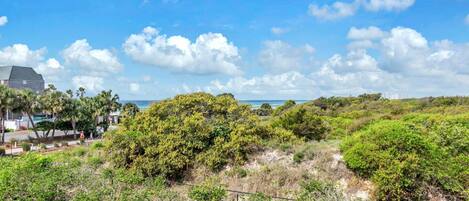 公寓式客房, 多张床 (Henderson Haus) | 其他