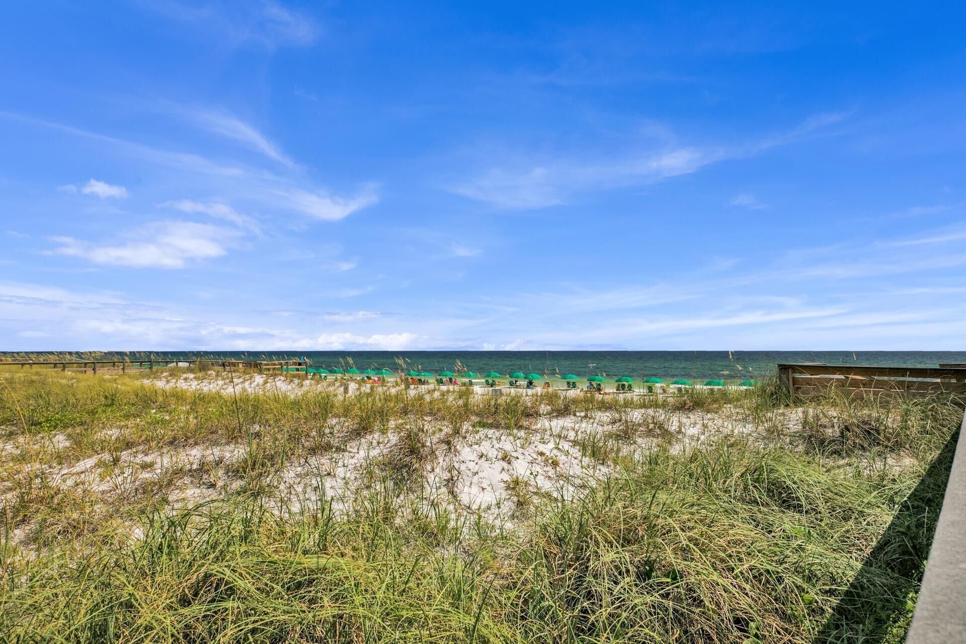 Une plage avec une clôture en bois, des parasols verts et un ciel bleu dégagé.