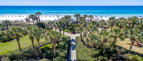 A beach resort with a pathway leading to the beach, surrounded by palm trees and a view of the ocean.