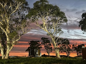 A rustic cabin with a small attached structure, surrounded by tall trees and a sunset sky. - Myrtle at Lexington Park by Tiny Away (Tarlo)