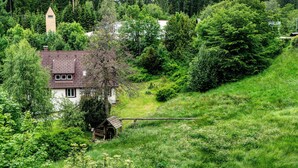 Une maison de campagne avec un toit en pente, entourée d’une végétation luxuriante et d’une petite construction en bois.