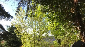 A garden with a curved metal structure, a wooden bench, and a ladder. - Apartment 'Ruhiges Nest Mit Sauna Und Garten' with Shared Garden and Wi-Fi (Jessen (Elster))