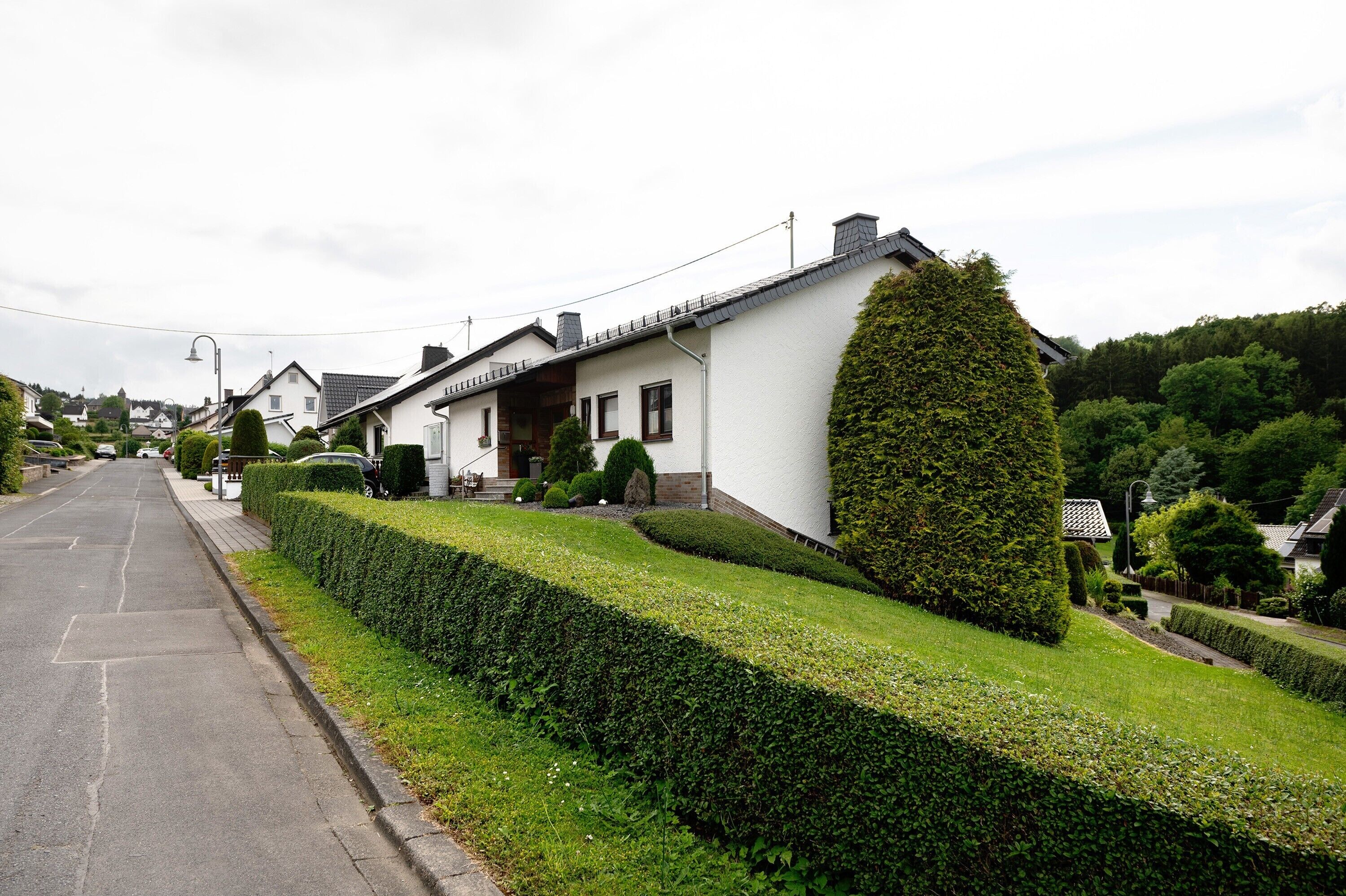 Eine Wohnstraße mit Häusern, ordentlich geschnittenen Hecken und blauem Himmel.