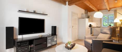 Fernseher, Stereoanlage