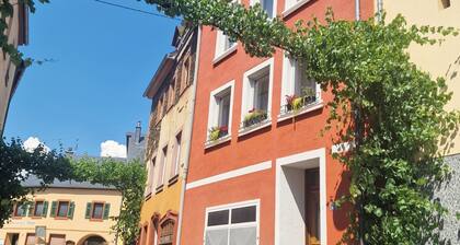 Ferienhaus 'Das Rote Ferienhaus Terlinden'