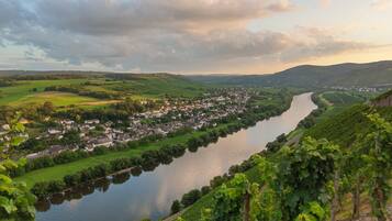 A river flowing through a town with vineyards on the hills.